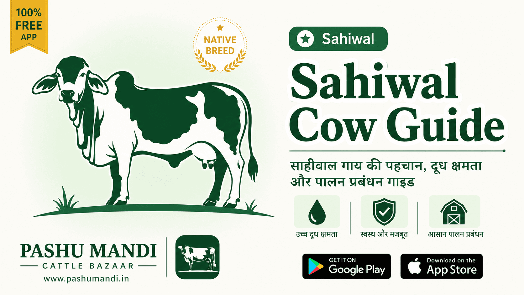 साहीवाल गाय की पहचान, दूध क्षमता और पालन प्रबंधन गाइड